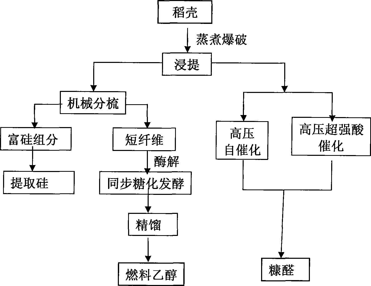 Production process of natural gas by using paddy hull