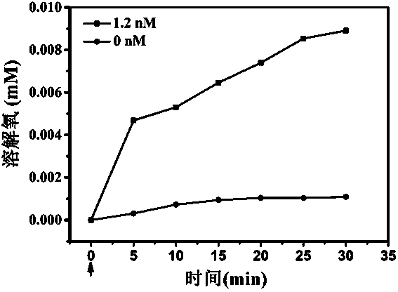 Application of gold platinum thermometal nano particles on preparation of cell immunotherapy accelerant