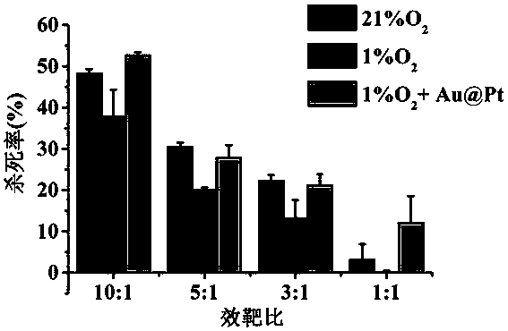 Application of gold platinum thermometal nano particles on preparation of cell immunotherapy accelerant