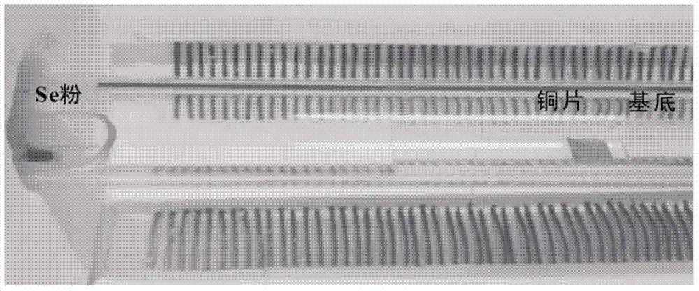 Two-dimensional transition metal disulfides monocrystalline, and preparation method and applications thereof