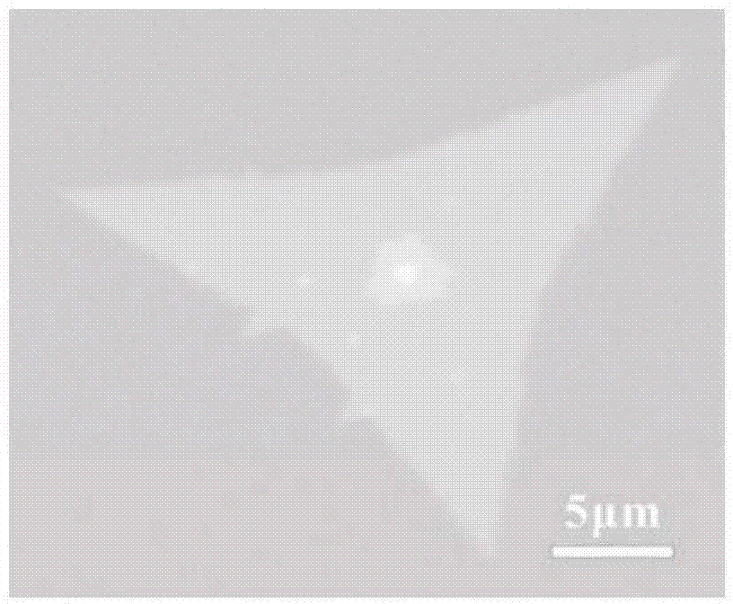 Two-dimensional transition metal disulfides monocrystalline, and preparation method and applications thereof