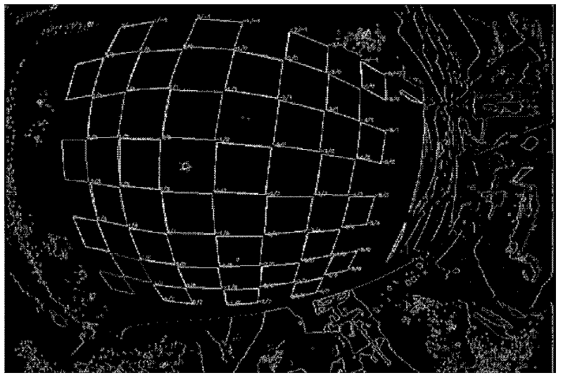 Fast Fisheye Image Correction Method for Panoramic Parking Assist System