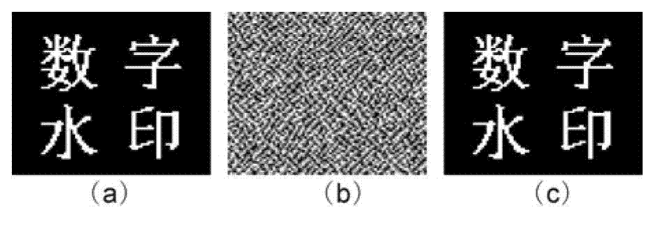 Digital video watermark method using kinoform