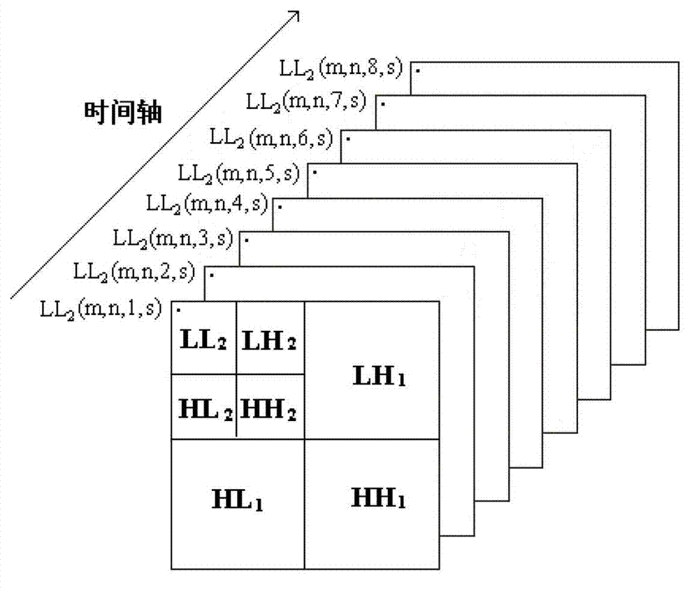 Digital video watermark method using kinoform