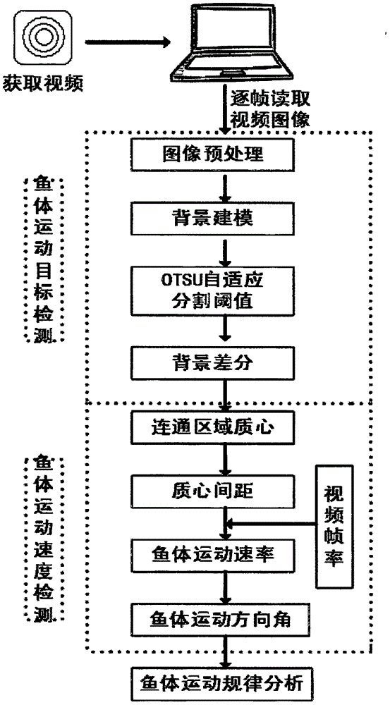 Fish body moving speed detection method for water quality monitoring