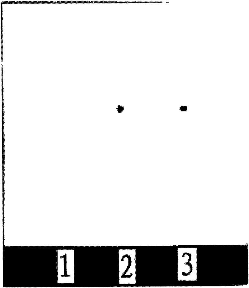 Thin-layer chromatographic developer for detecting residual amount of tripolycyanamide and application of thin-layer chromatographic developer