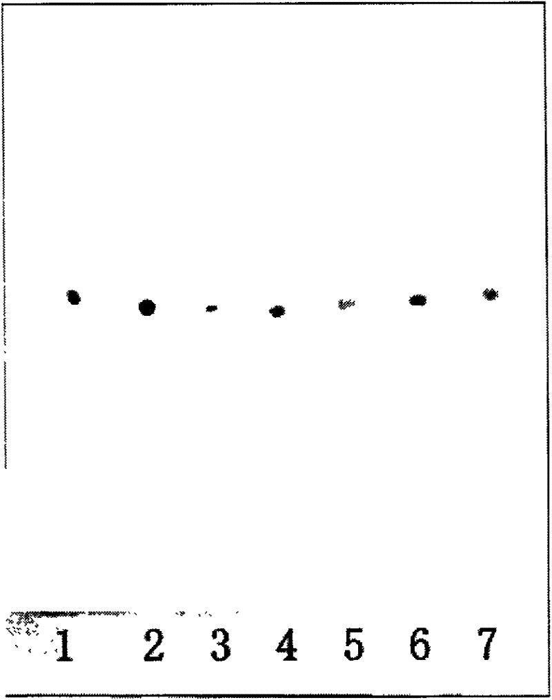 Thin-layer chromatographic developer for detecting residual amount of tripolycyanamide and application of thin-layer chromatographic developer