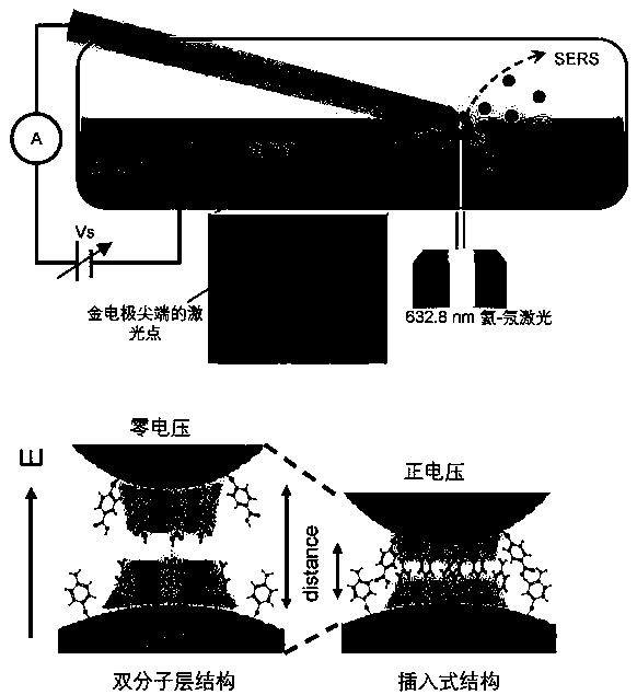 Single-molecule detection method based on dynamic Raman spectrum