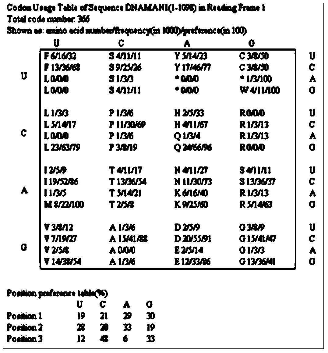 Optimized cattle chymosin proto-gene and secretory expression method and application thereof