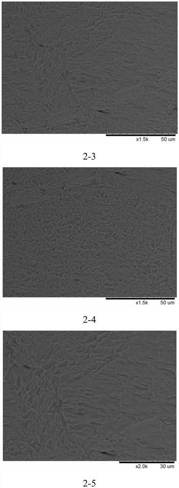 A kind of sharp biological titanium material and preparation method thereof