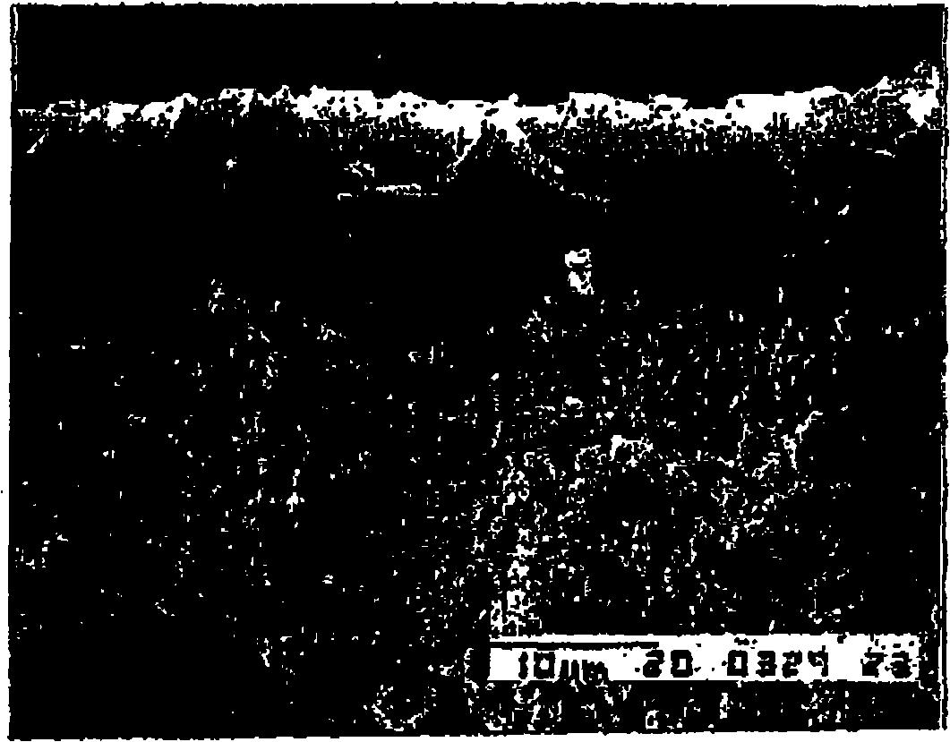 Composite DDR type zeolite film, and method for preparation thereof