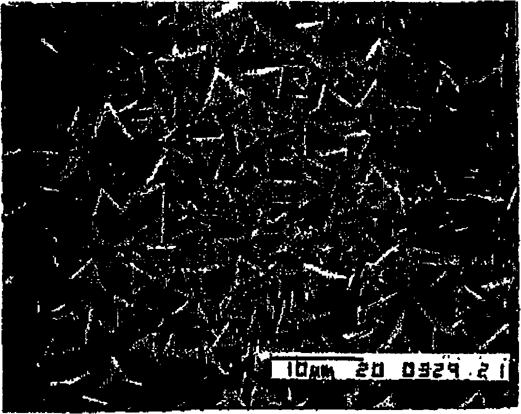 Composite DDR type zeolite film, and method for preparation thereof