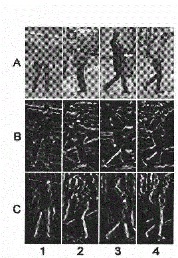 Pedestrian tracking method based on HOG-LBP