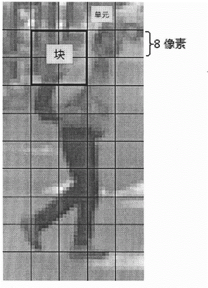 Pedestrian tracking method based on HOG-LBP