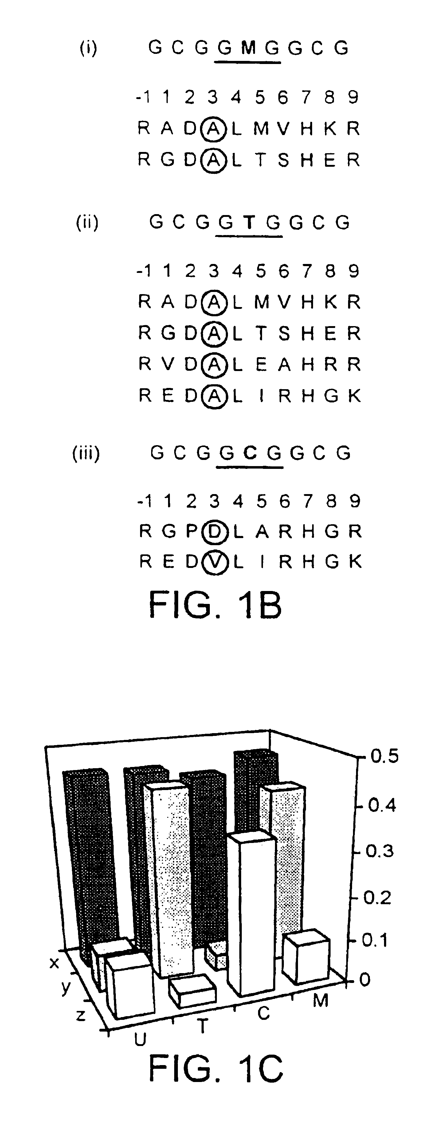 Nucleic acid binding proteins