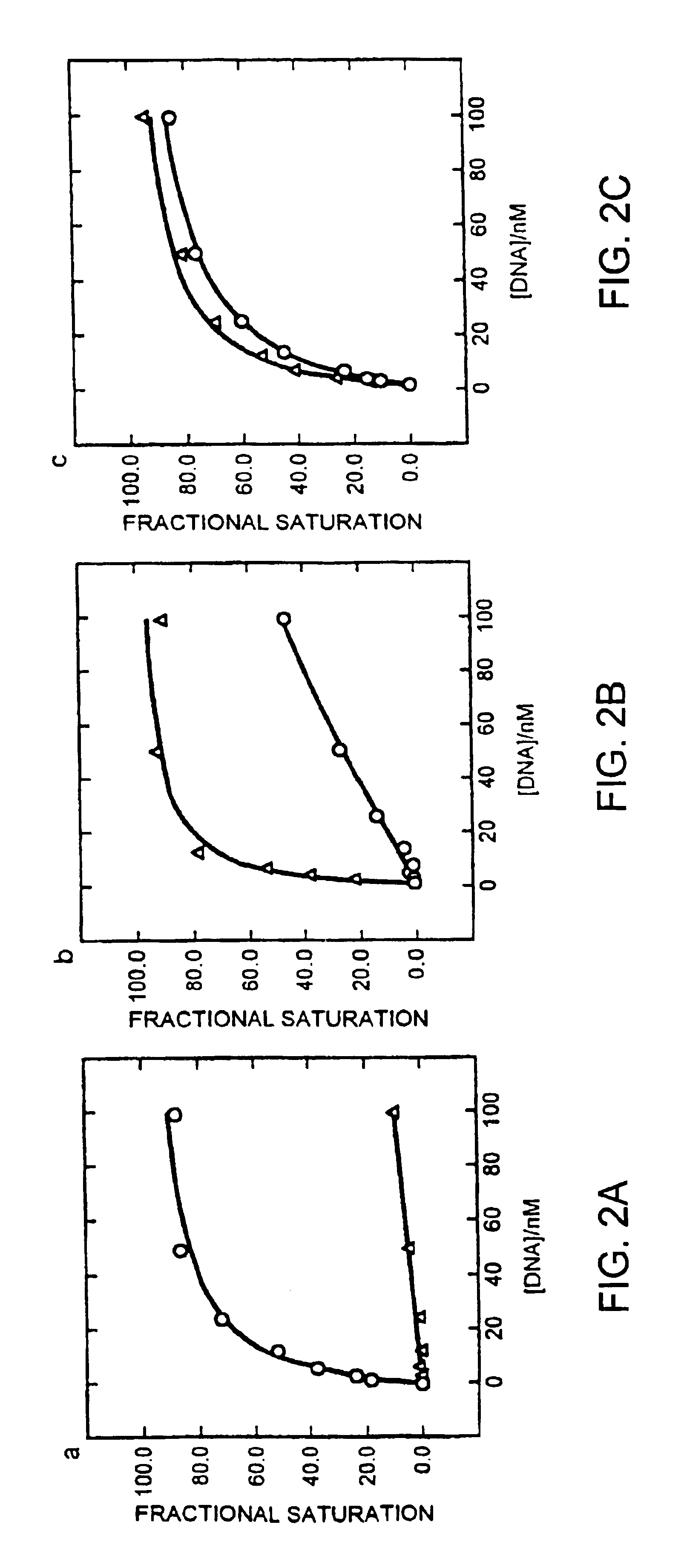 Nucleic acid binding proteins