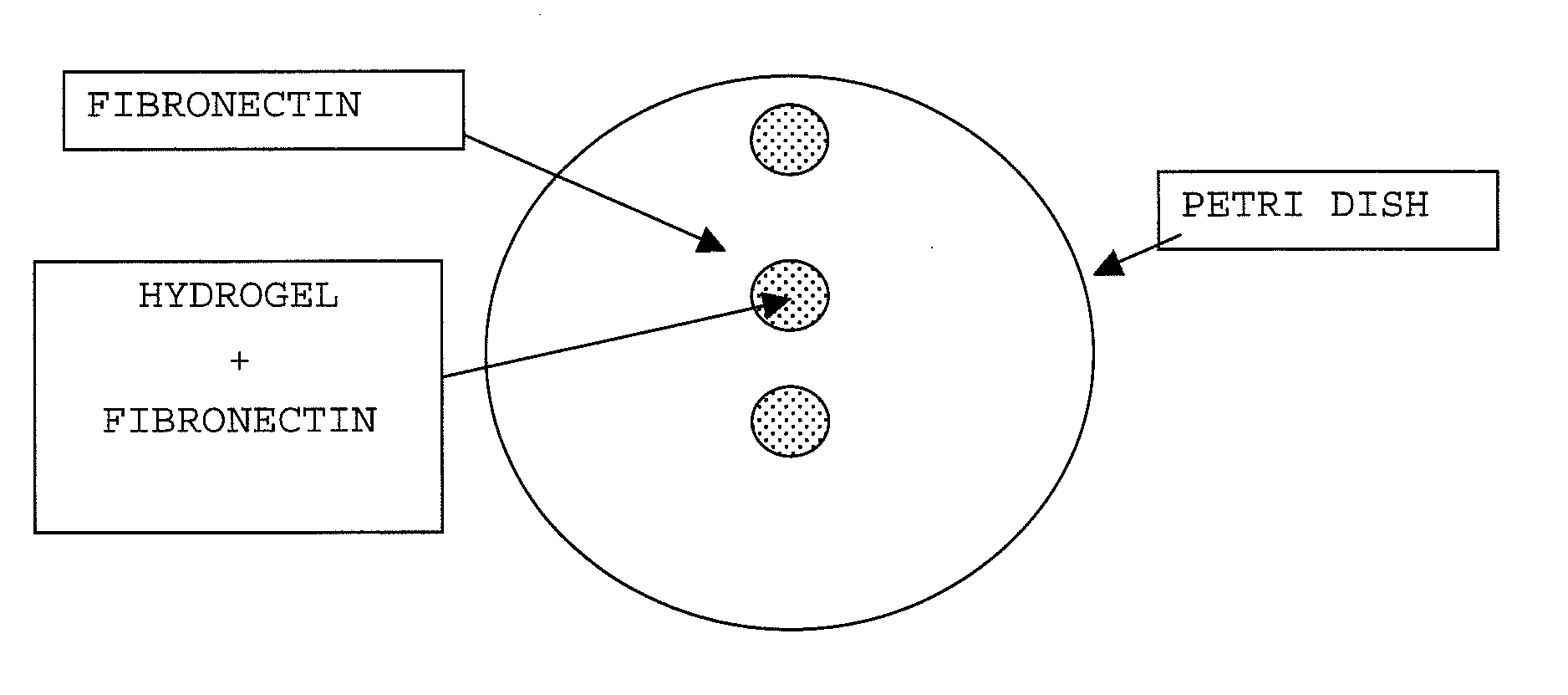 Cellulose derivative and method for production thereof