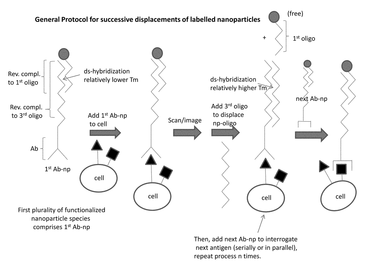 Integrated visual morphology and cell protein expression using resonance-light scattering