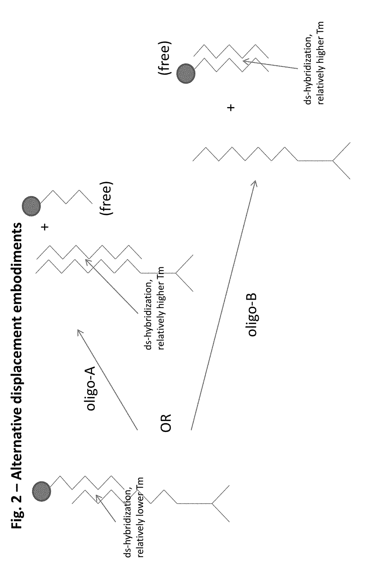 Integrated visual morphology and cell protein expression using resonance-light scattering