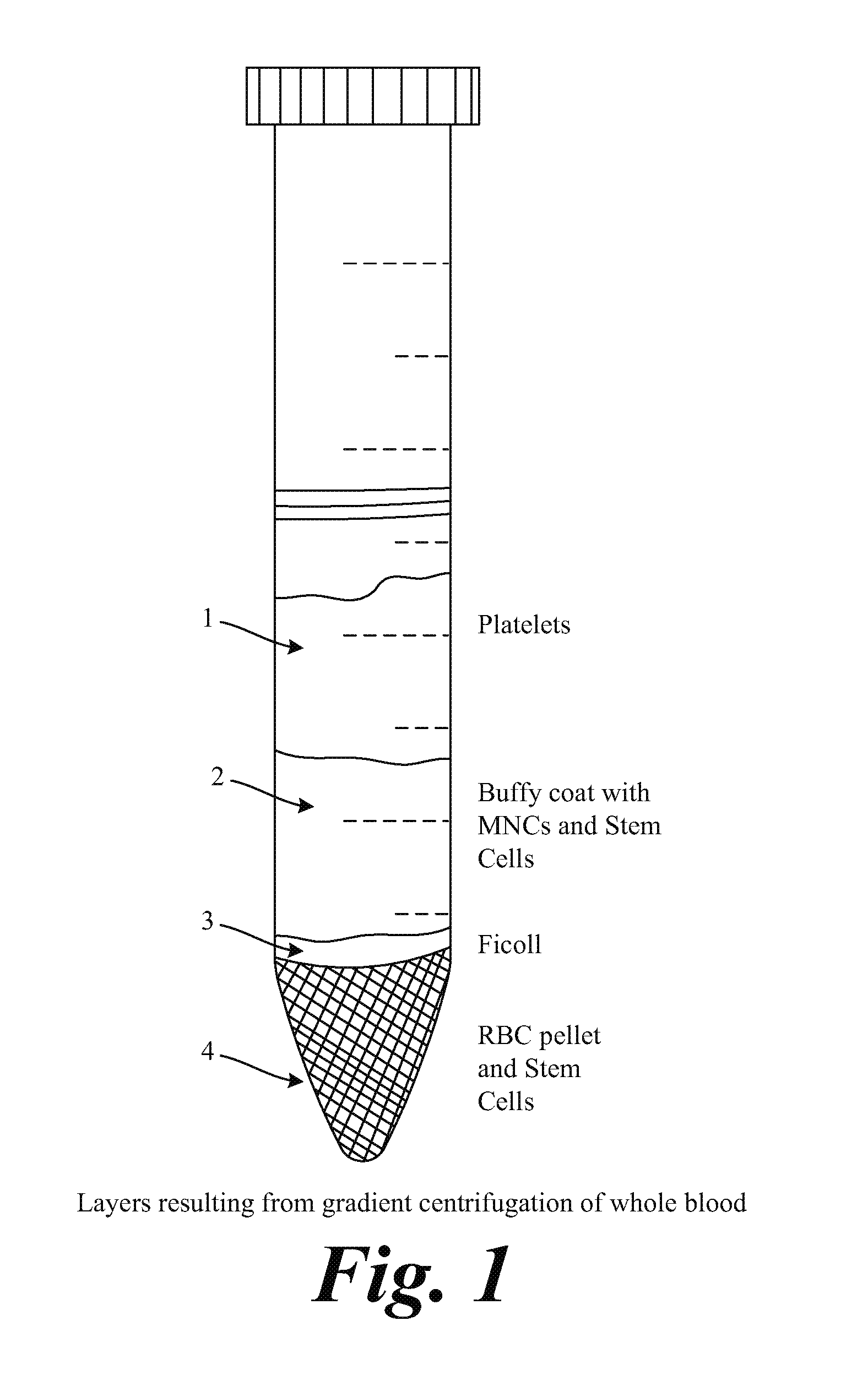 Compositions and methods to inhibit stem cell and progenitor cell binding to lymphoid tissue and for regenerating germinal centers in lymphatic tissues