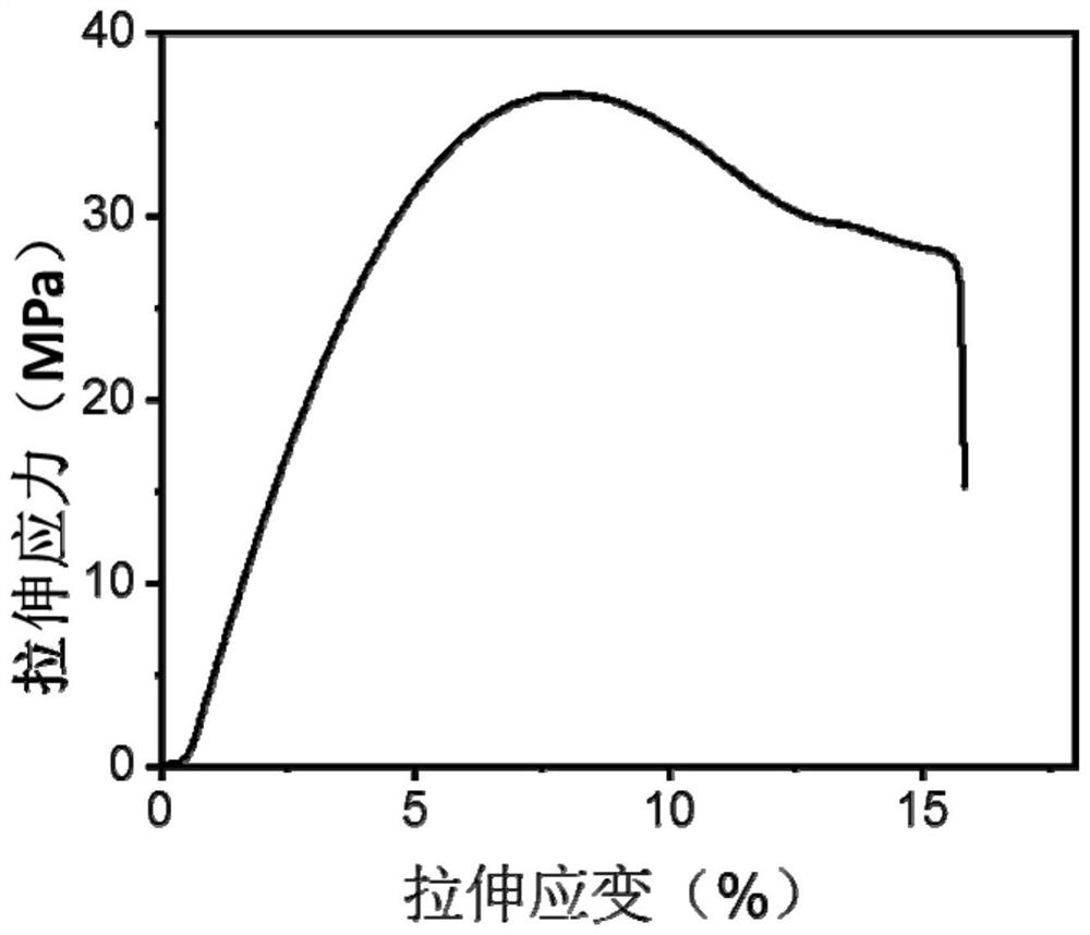 Conductive bio-based plastic as well as preparation method and application thereof