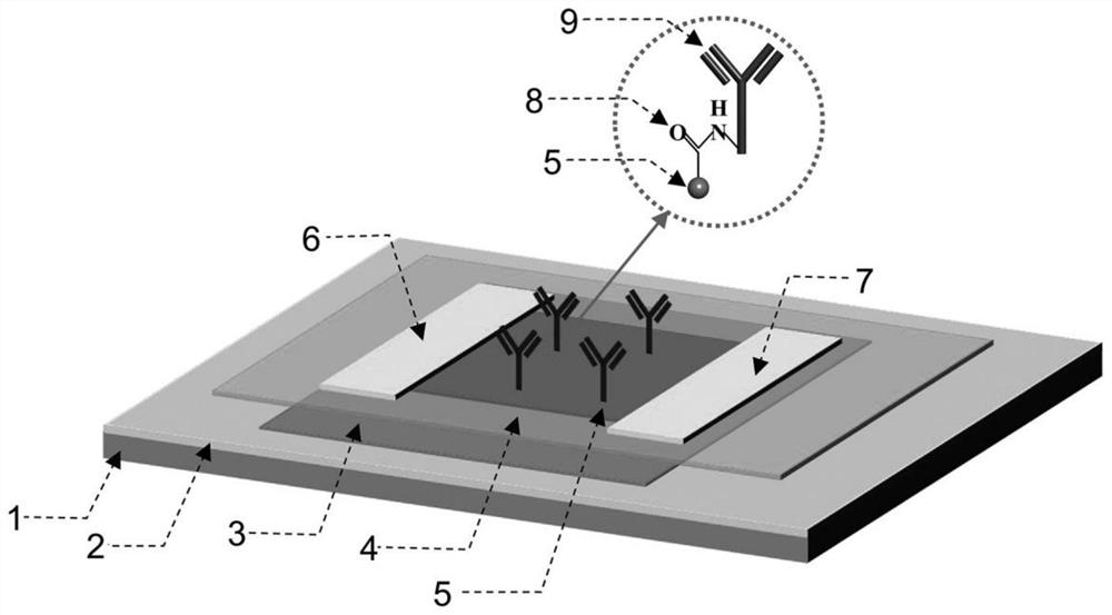 Biosensor based on graphene field effect transistor and preparation method and application thereof