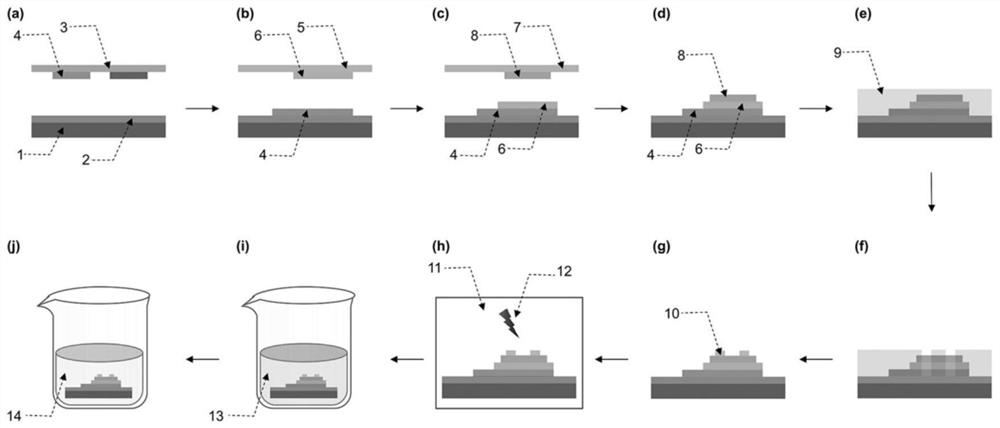 Biosensor based on graphene field effect transistor and preparation method and application thereof