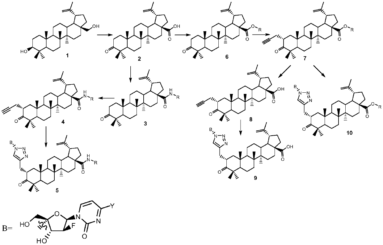 Betulin keto acid derivatives and their synthesis method and application