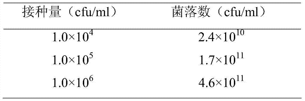 Scutellaria baicalensis lactic acid bacteria fermented product, cosmetics containing fermented product, preparation method and use