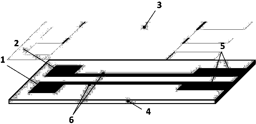 Glucose oxidase screen-printed electrode for on-line monitoring and preparation method thereof