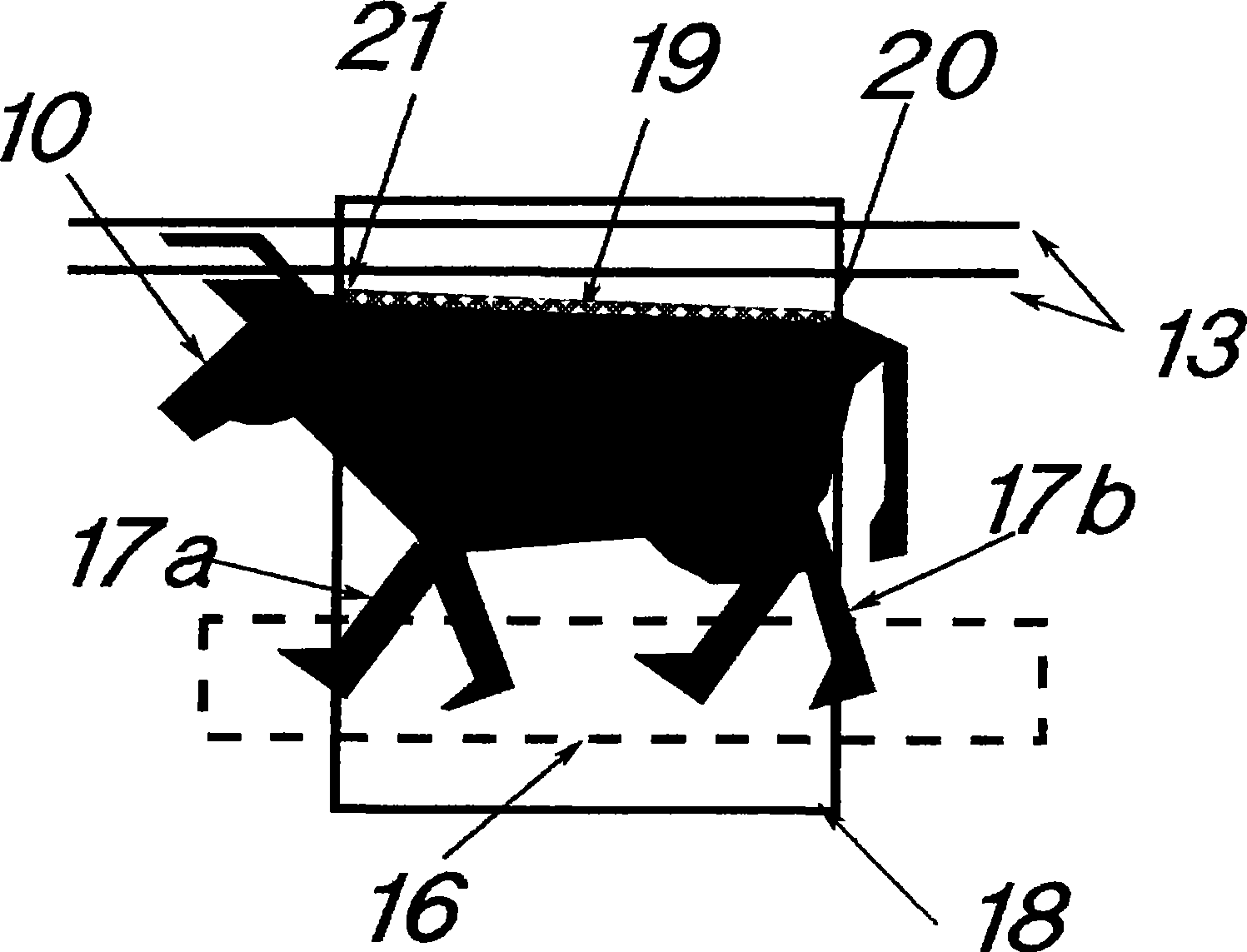 A method and a system for measuring an animal's height