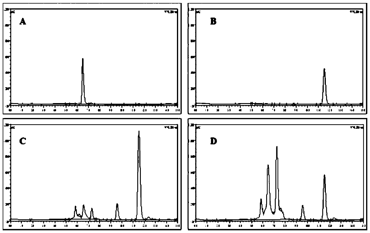 A P450 Oxidase and Its Gene Sequence of C. flaxensis