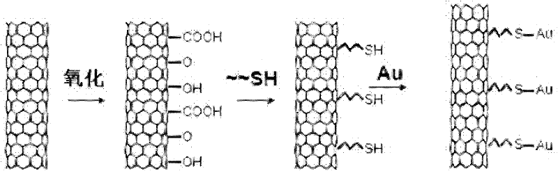 Biological immune sensor and detection method thereof