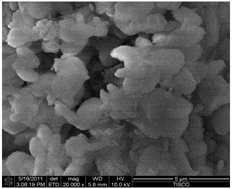 Fast preparation method of ferrous microporous composite molecular sieves