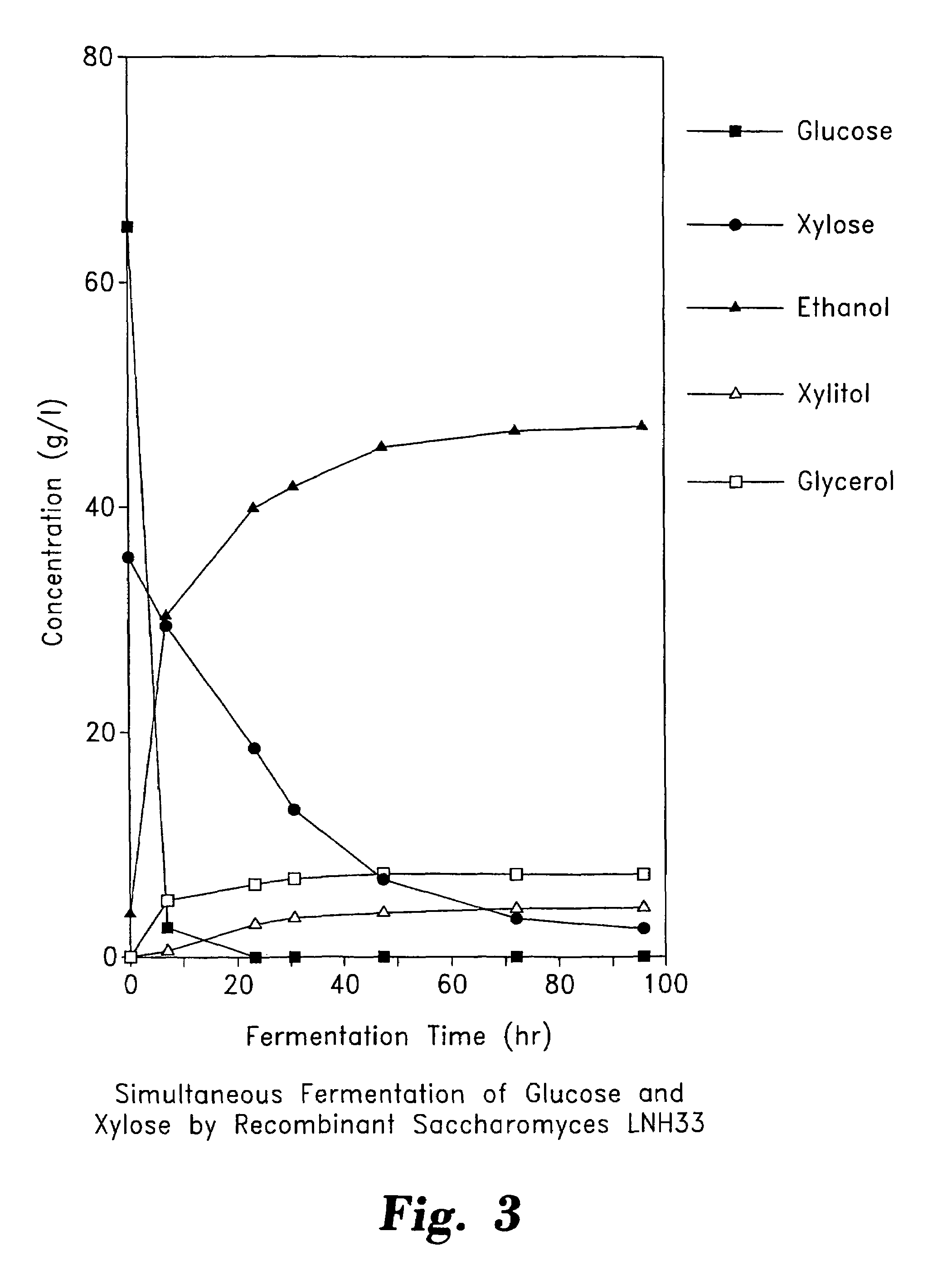 Stable recombinant yeasts for fermenting xylose to ethanol