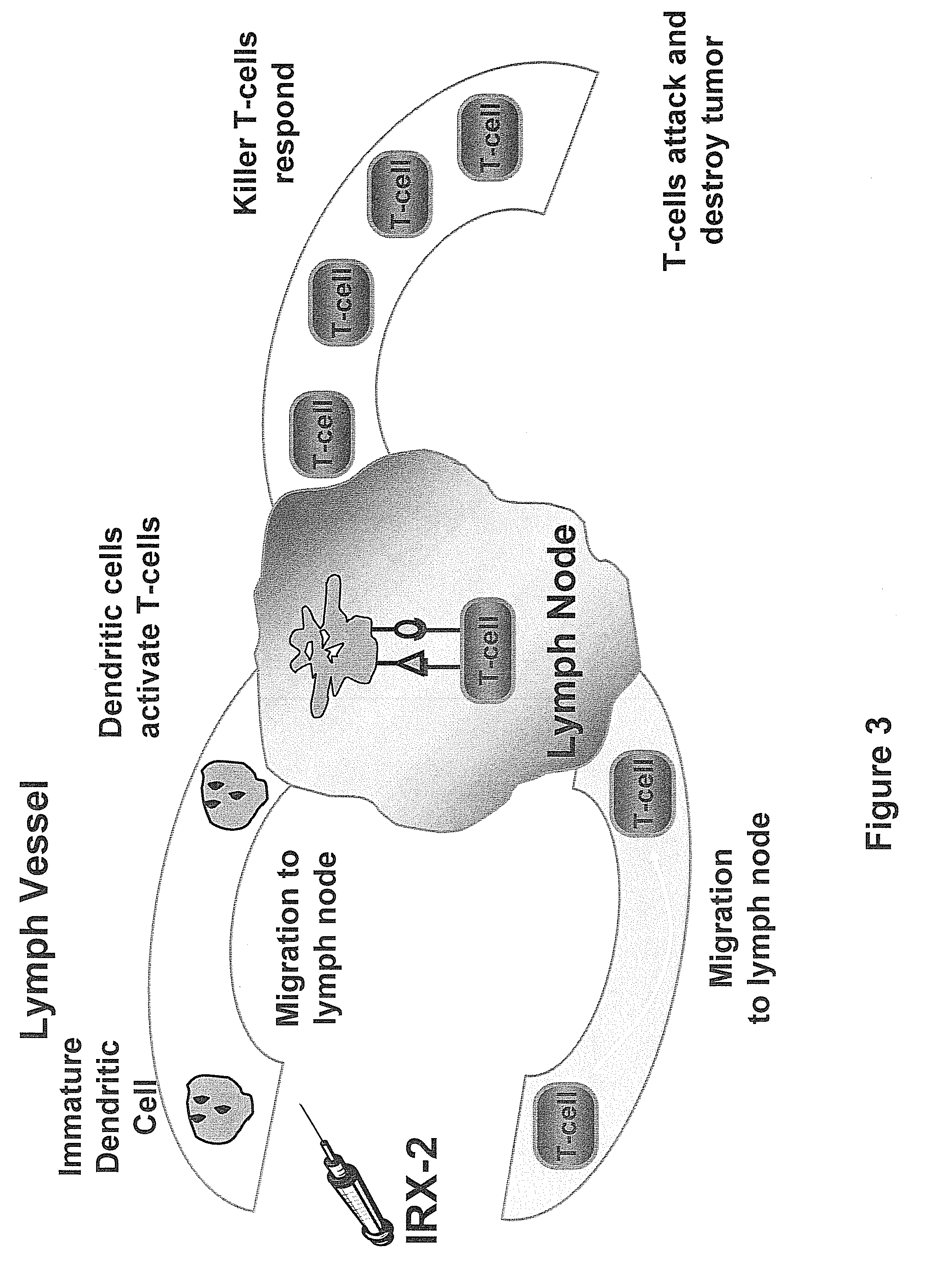 Method of increasing immunological effect