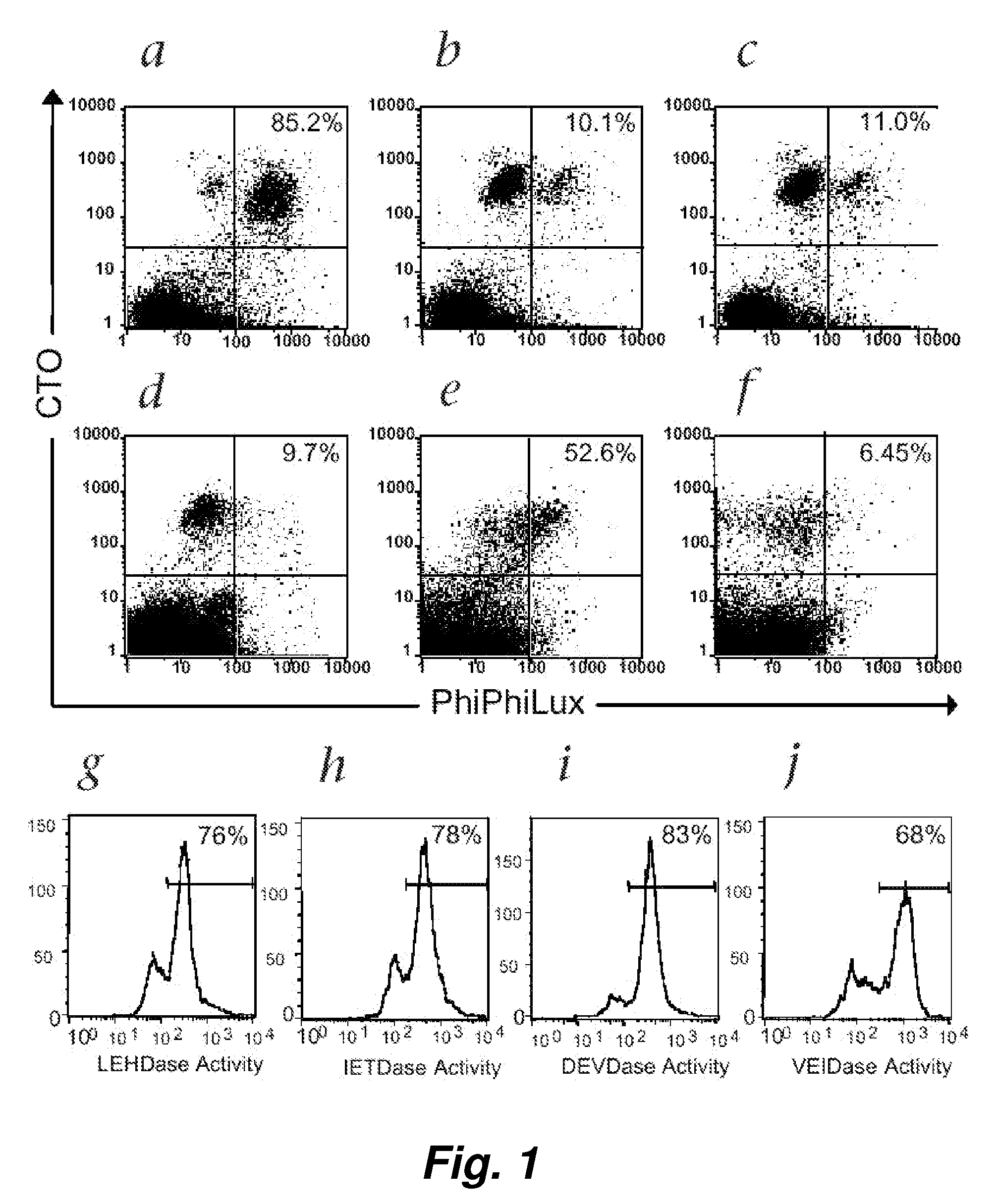 Visualization and quantitation of cellular cytotoxicity using cell-permeable fluorogenic protease substrates and caspase activity indicator markers