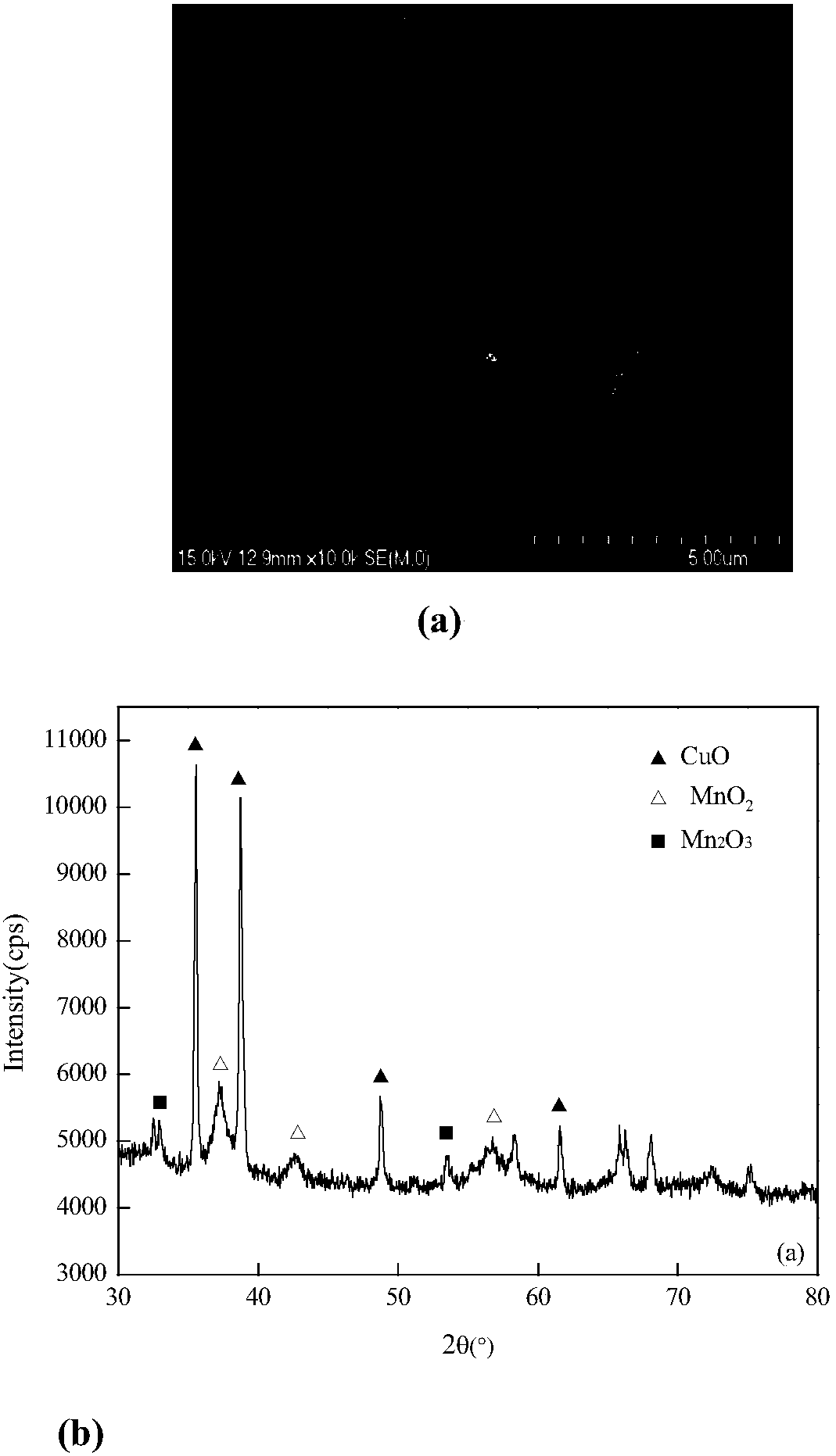 Advanced oxidation coupling biological cleaning system based on ozone regulation and application thereof