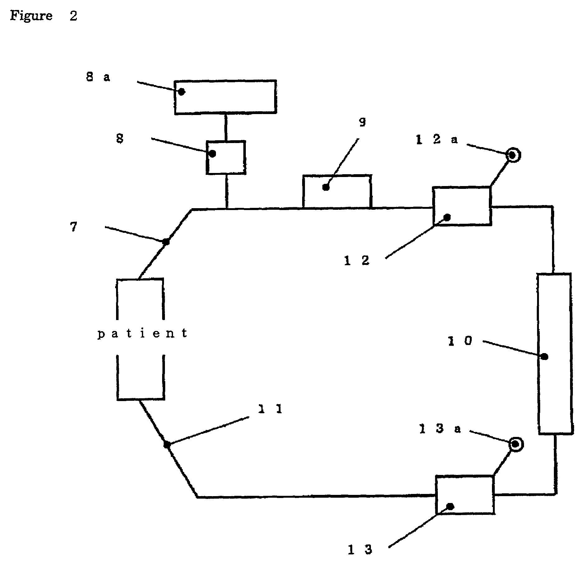 Biocompatible polymer and filter for selectively eliminating leucocytes using the same