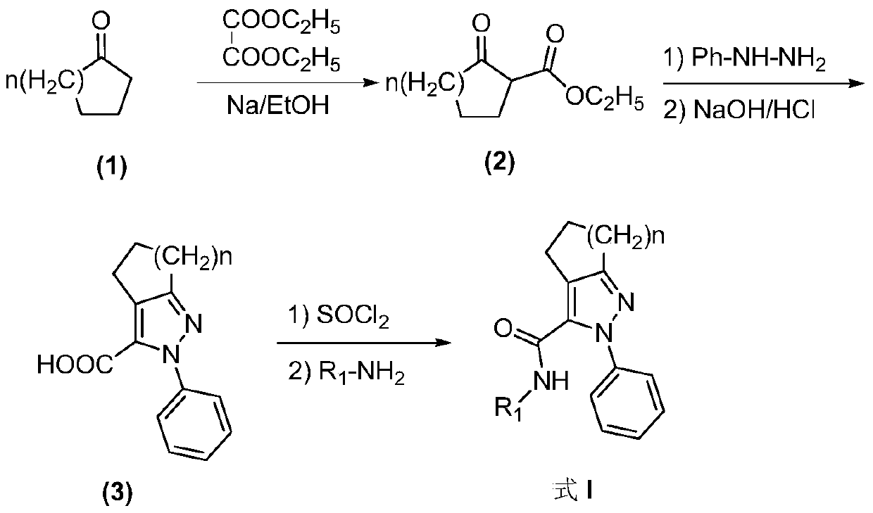 Pyrazolo-3-carboxamide analogs and their preparation and application