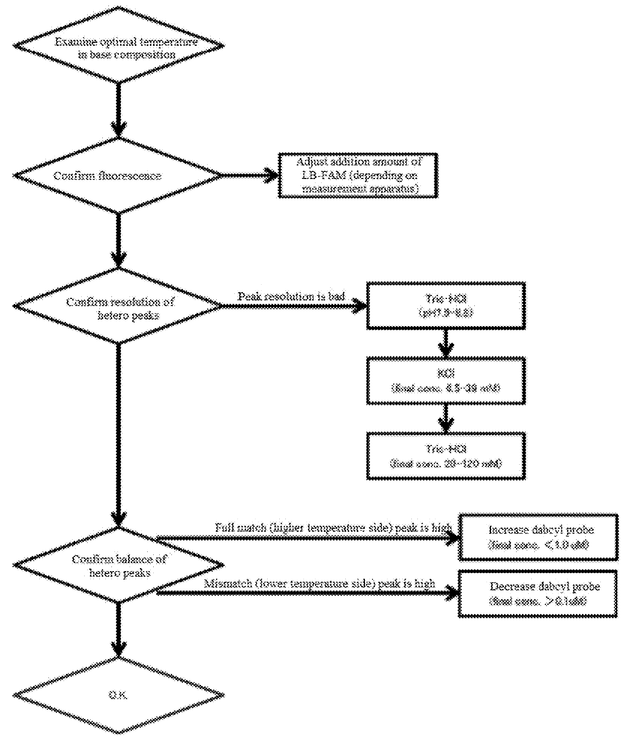 Set of primers and probes to be used for identification of gene polymorphism and use thereof