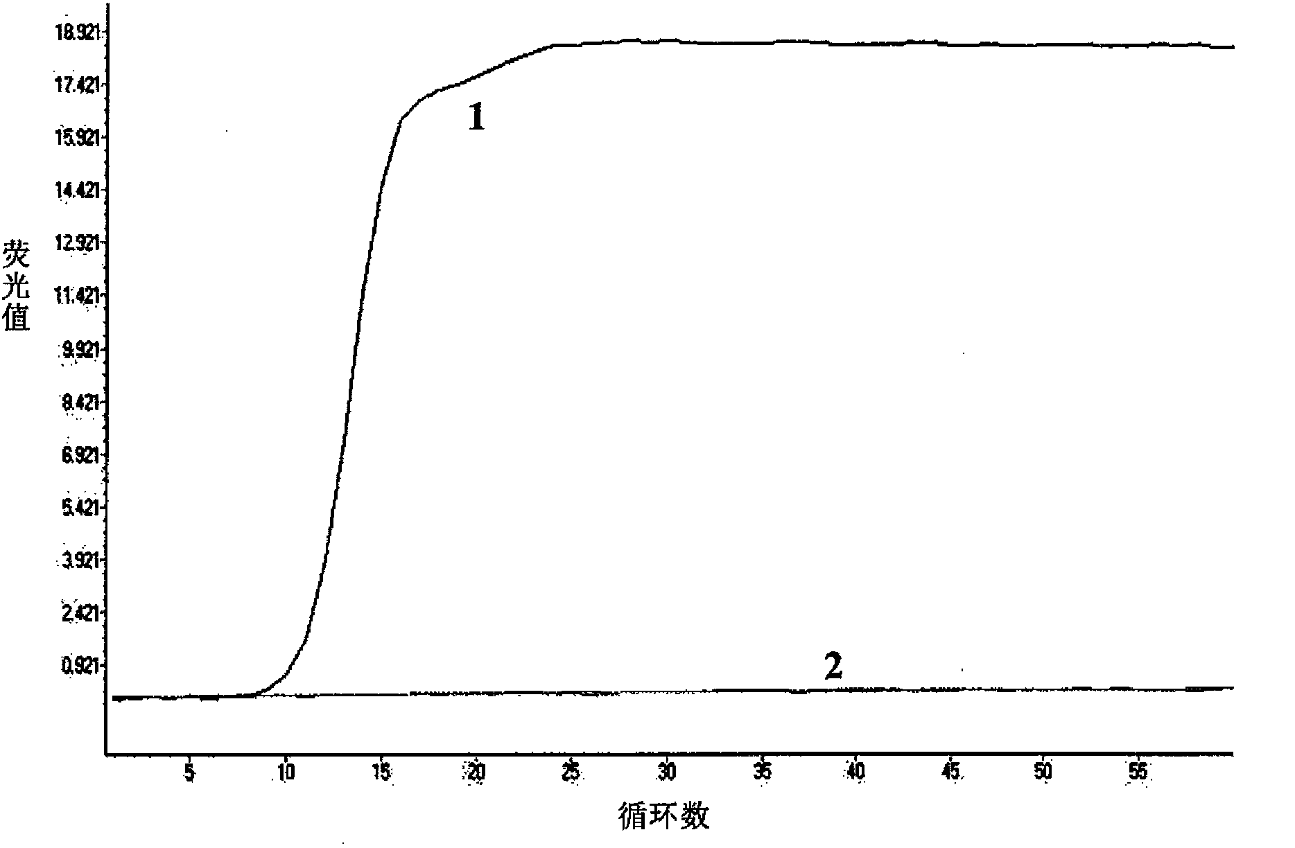 Real-time fluorescence RT-HDA (Reverse Transcriptase-Helicase-Dependent Isothermal Amplification) kit and primer for detecting foot-and-mouth disease virus