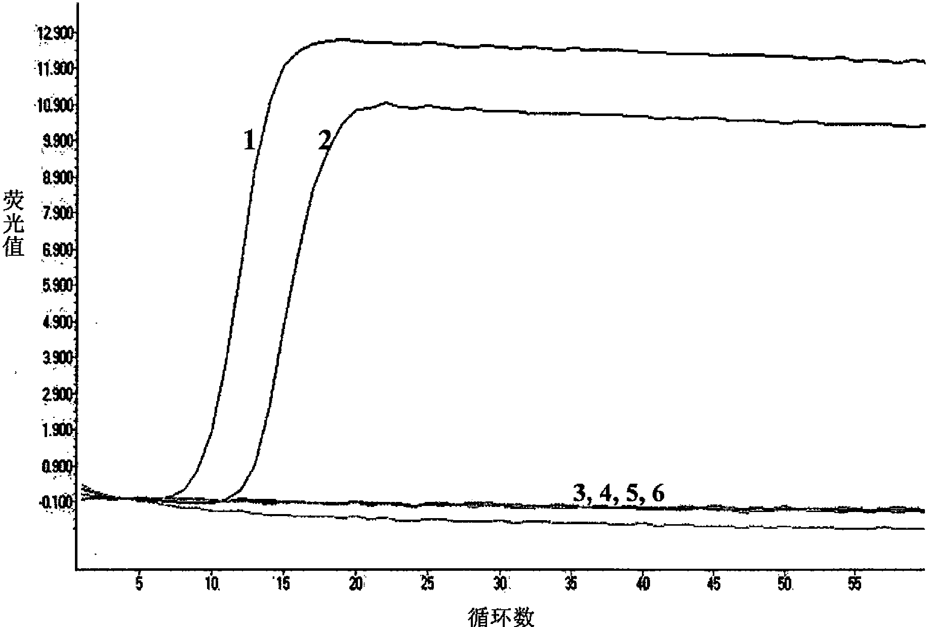 Real-time fluorescence RT-HDA (Reverse Transcriptase-Helicase-Dependent Isothermal Amplification) kit and primer for detecting foot-and-mouth disease virus