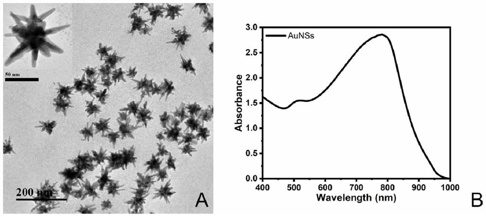 Method for Raman-fluorescence dual-mode detection of calcium ions based on dual-mode nanoprobes