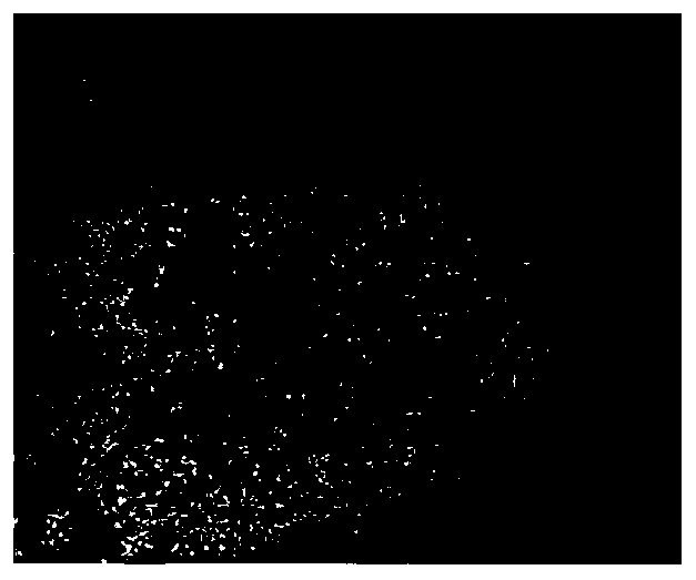 Spot removing system based on nuclear light quadruple