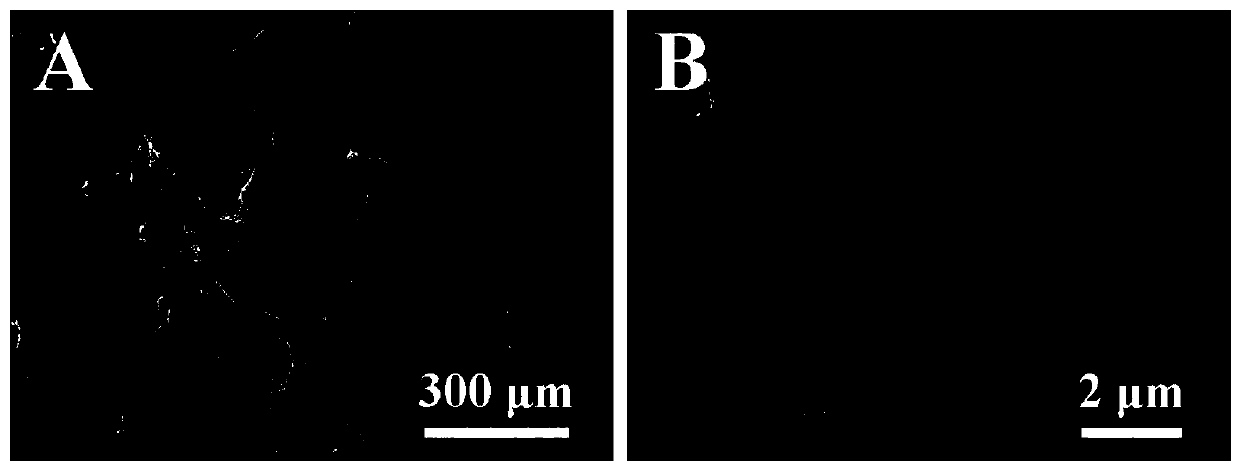 Trauma hemostatic sponge and preparing method and application thereof