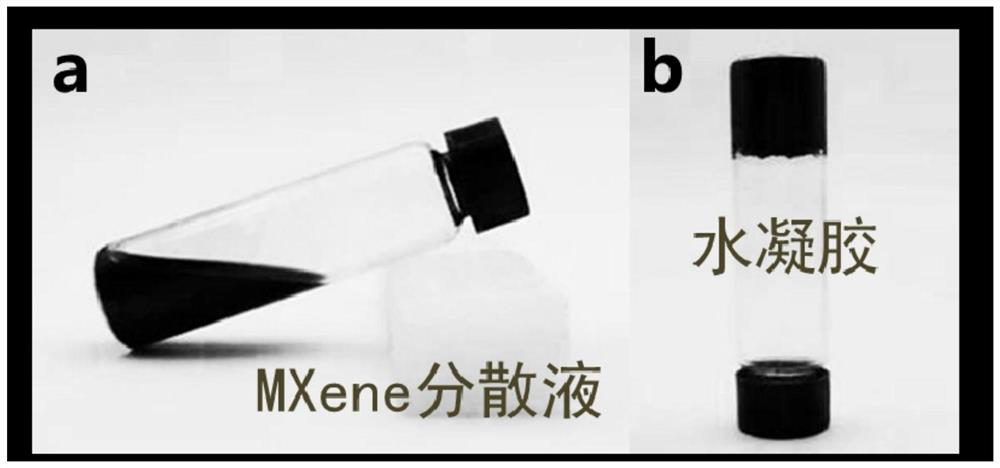 Preparation method of a two-dimensional layered transition metal nanosheet gel