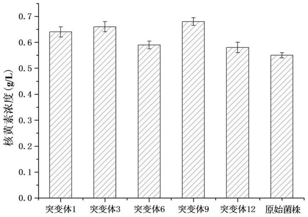 Method for improving riboflavin production capacity of escherichia coli engineering bacteria by DNA shuffling