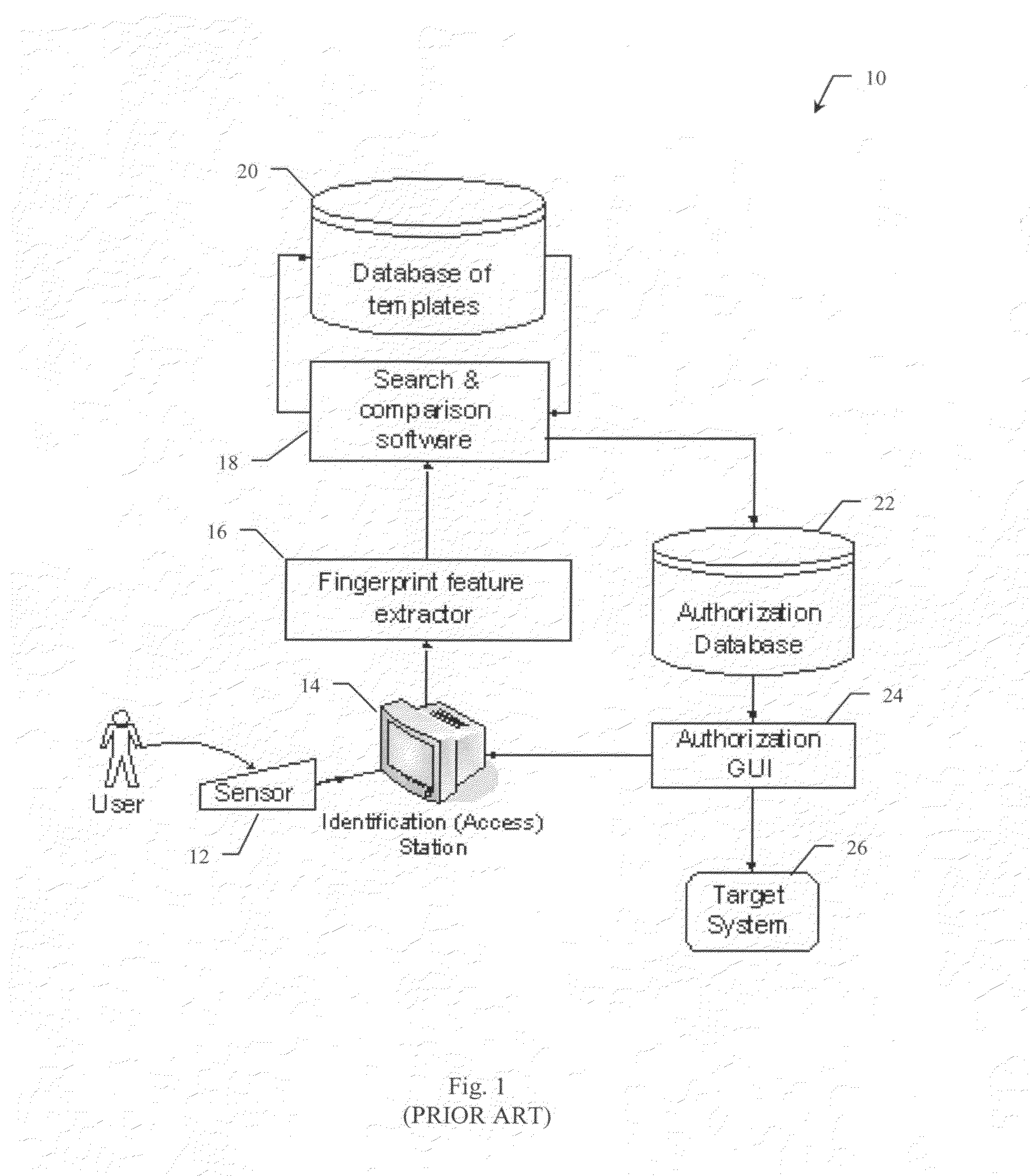 Unique, repeatable, and compact biometric identifier