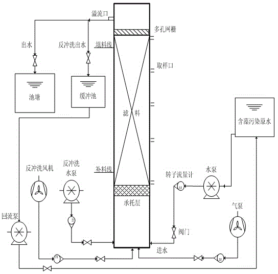 Biological aerated filter using barley straws as substrate and application thereof